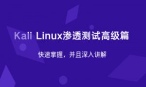 Kali Linux渗透测试高级篇-企飞资源网