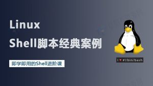18个Linux Shell脚本经典案例-月其科技
