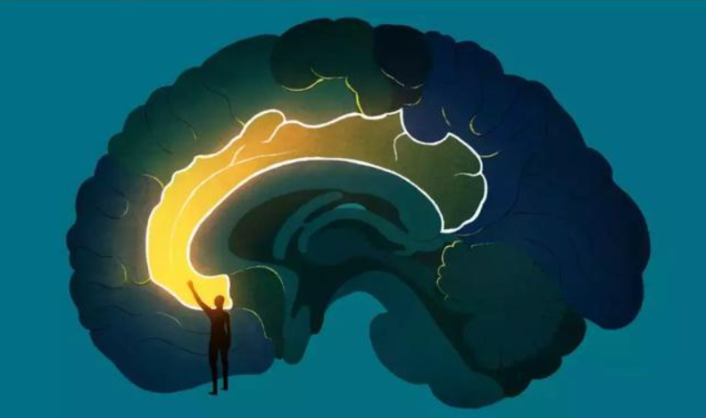 20260410072249397-image