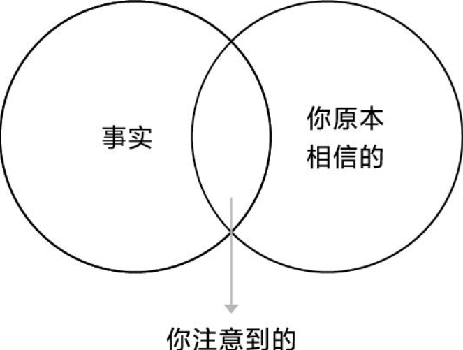 20260410081953502-image