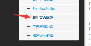在Padavan(老毛子)固件上搭建内网VPN服务器并进行内网穿透的教程