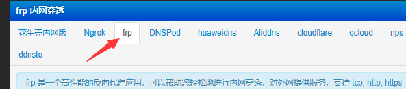 在Padavan(老毛子)固件上搭建内网VPN服务器并进行内网穿透的教程