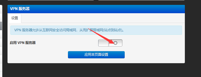 在Padavan(老毛子)固件上搭建内网VPN服务器并进行内网穿透的教程