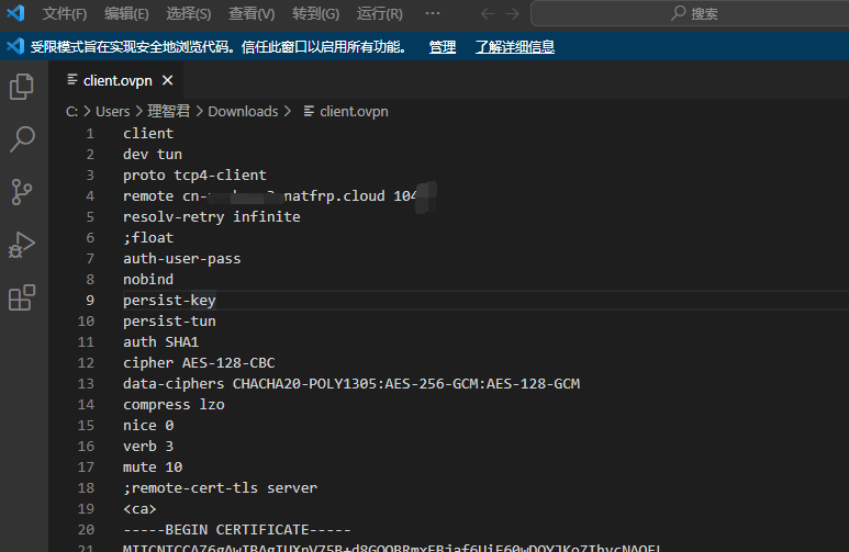 Codex 国内接入 DeepSeek 保姆级教程-与其焦虑,不如其说。欢迎来到 AI 时代的超级个体实验场。月其说